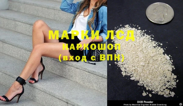 стаф Абинск