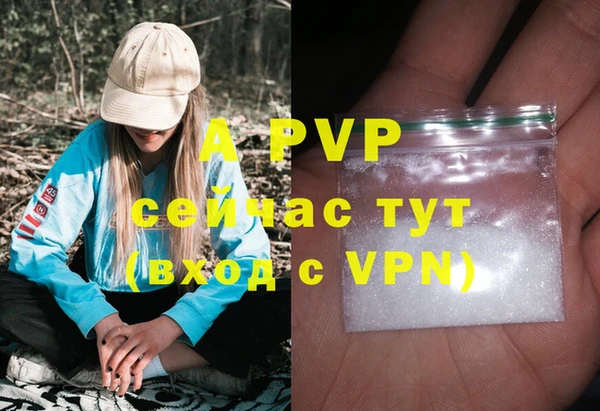 стаф Абинск