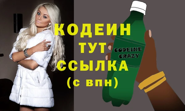 гидра Абаза