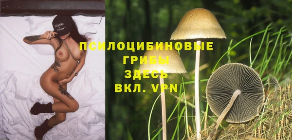 2c-b Алексеевка