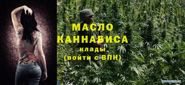 гидра Абаза