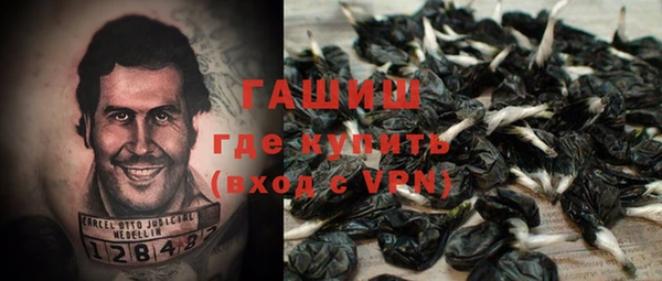 гидра Абаза