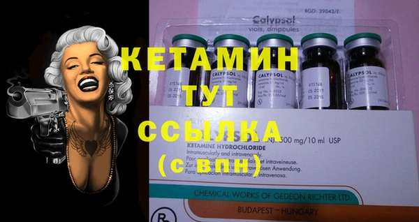 соль ск Алексин